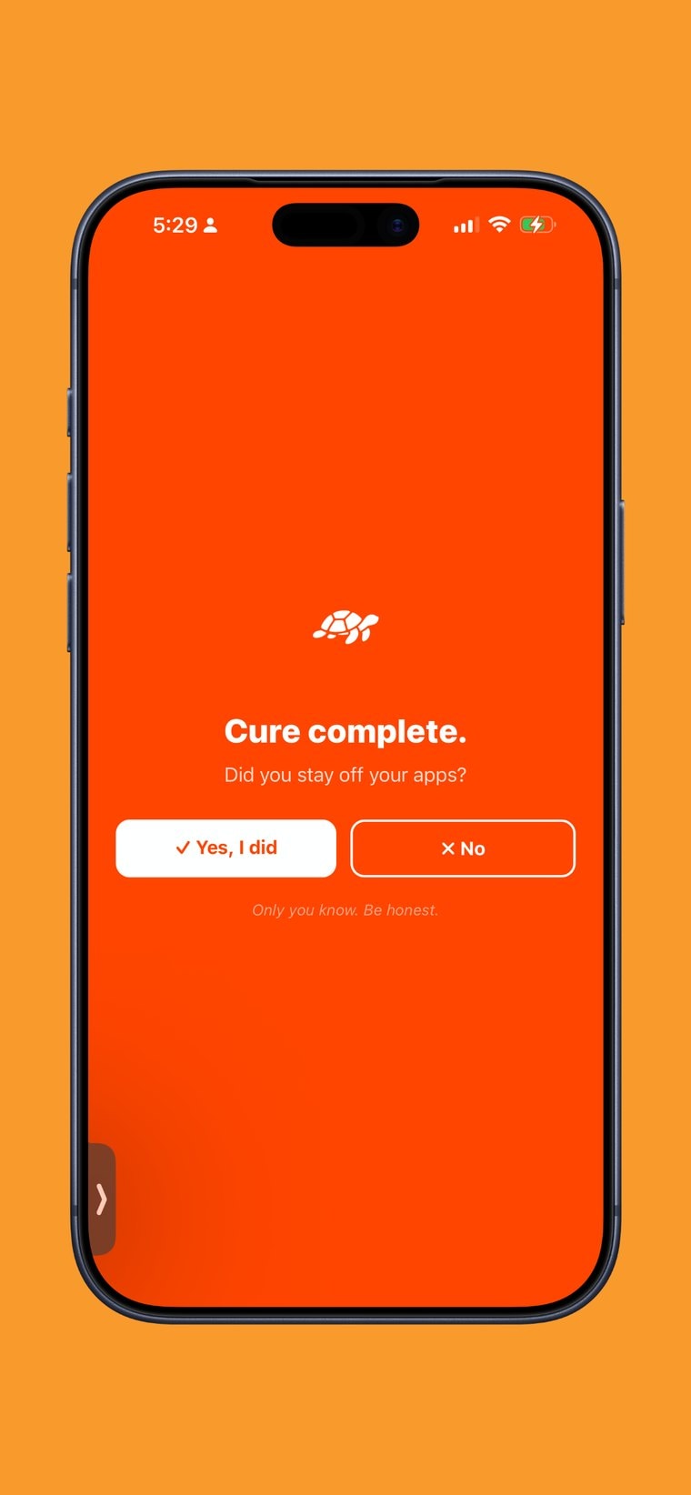 TheCure — the honesty prompt